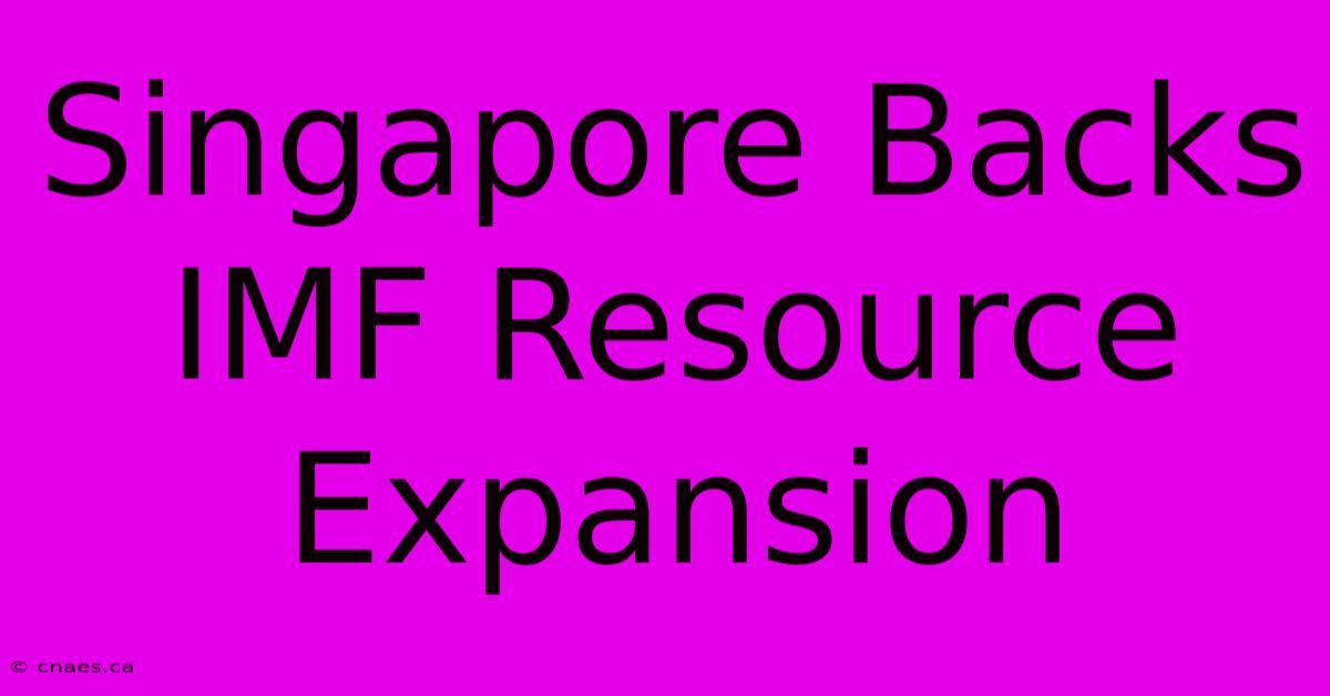 Singapore Backs IMF Resource Expansion