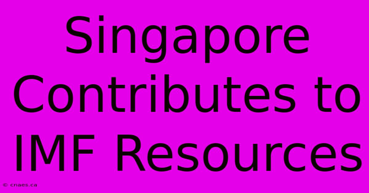 Singapore Contributes To IMF Resources