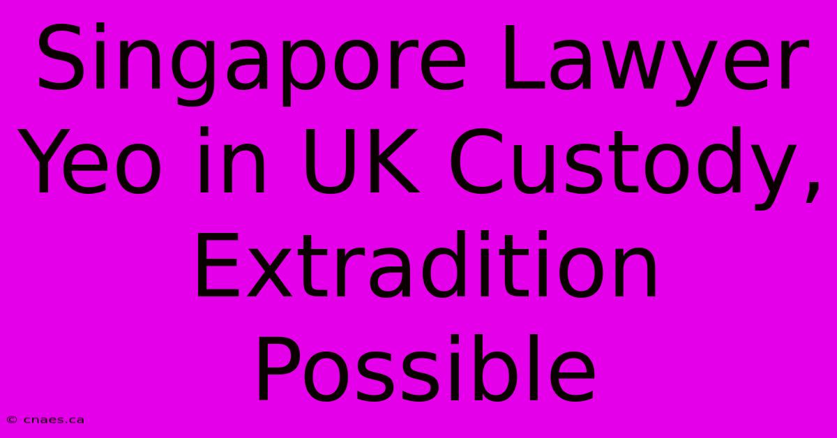 Singapore Lawyer Yeo In UK Custody, Extradition Possible 