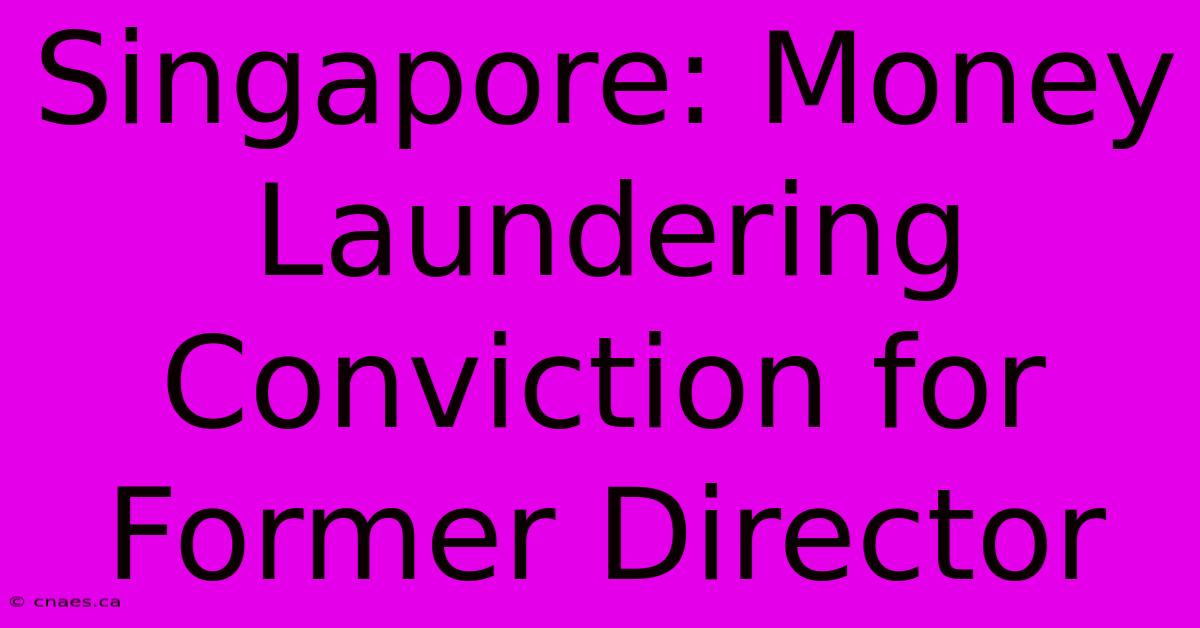 Singapore: Money Laundering Conviction For Former Director 