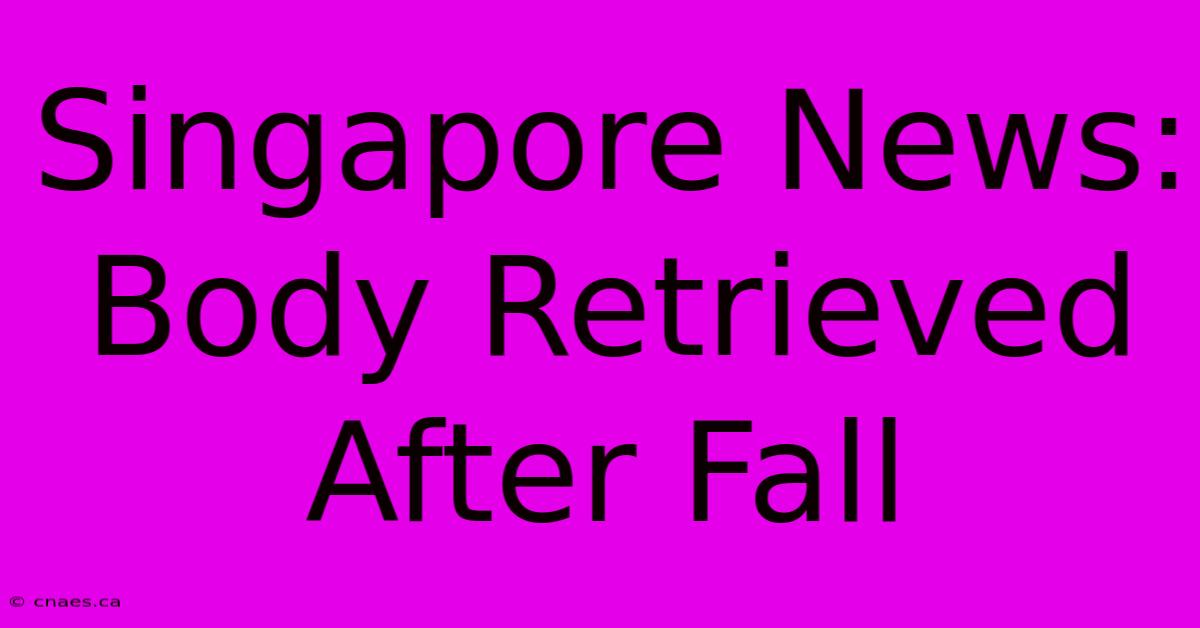 Singapore News: Body Retrieved After Fall