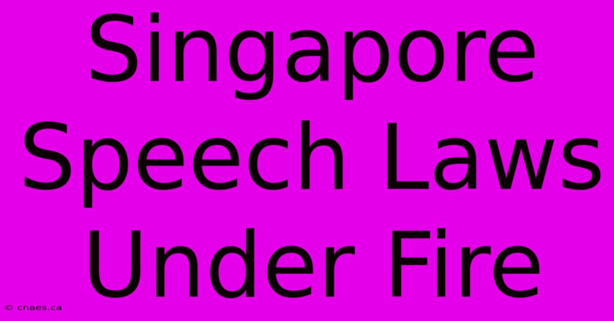 Singapore Speech Laws Under Fire 