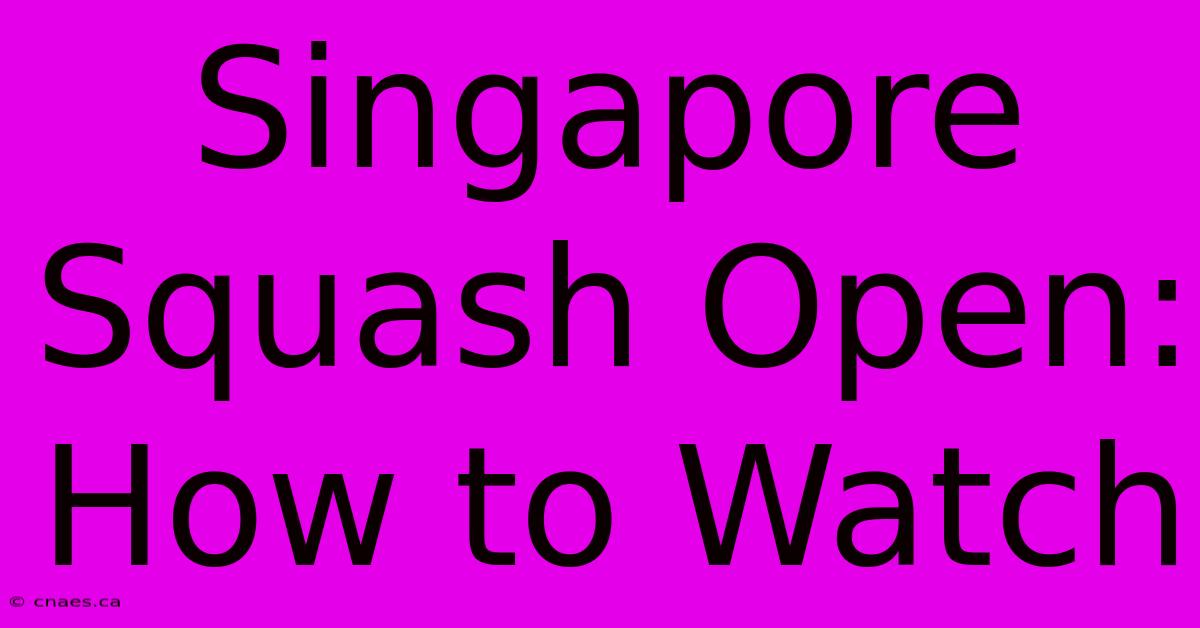 Singapore Squash Open: How To Watch