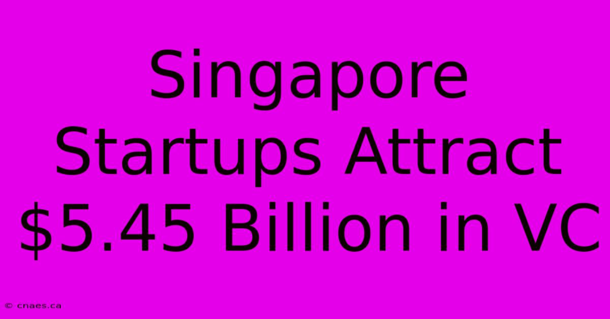 Singapore Startups Attract $5.45 Billion In VC