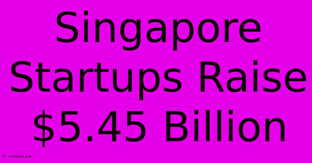 Singapore Startups Raise $5.45 Billion