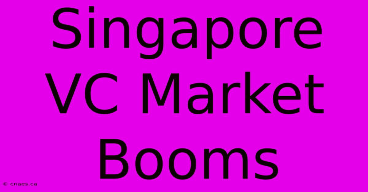 Singapore VC Market Booms