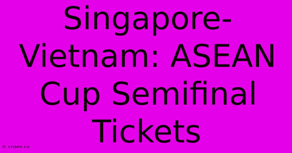 Singapore-Vietnam: ASEAN Cup Semifinal Tickets