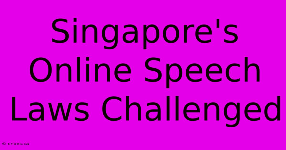 Singapore's Online Speech Laws Challenged