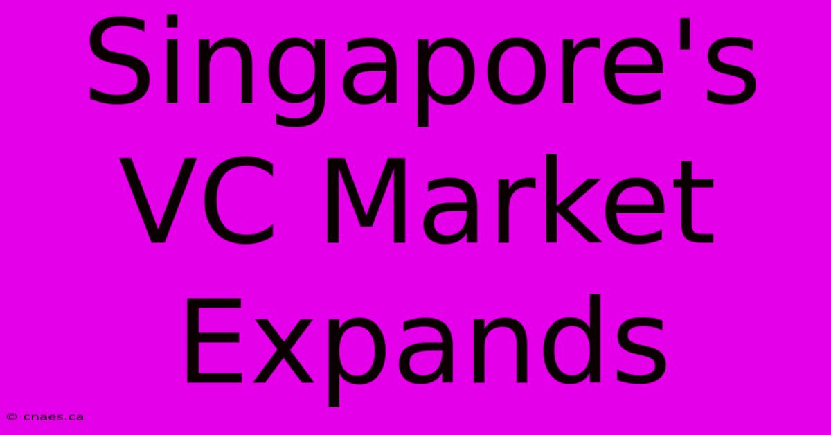 Singapore's VC Market Expands