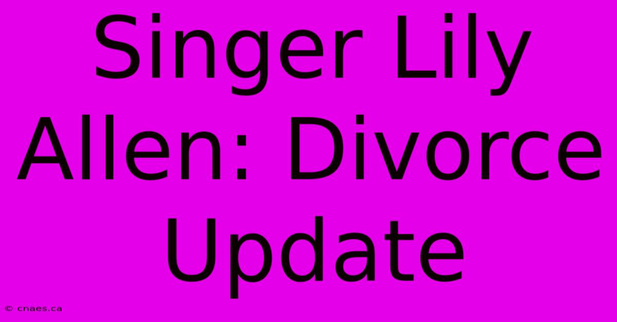 Singer Lily Allen: Divorce Update