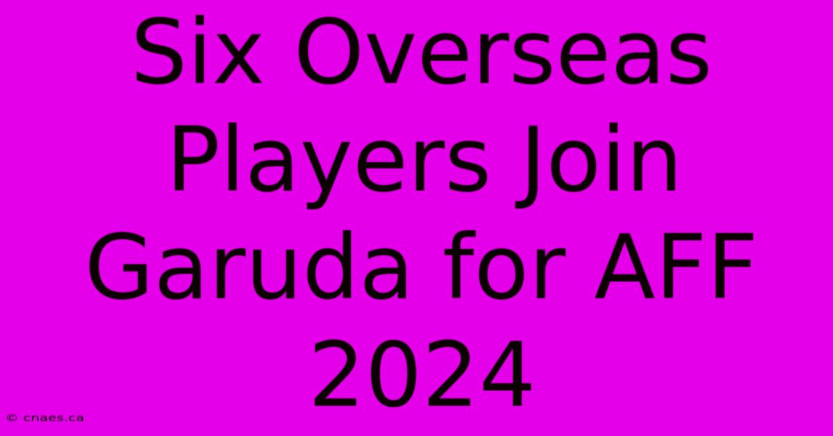 Six Overseas Players Join Garuda For AFF 2024