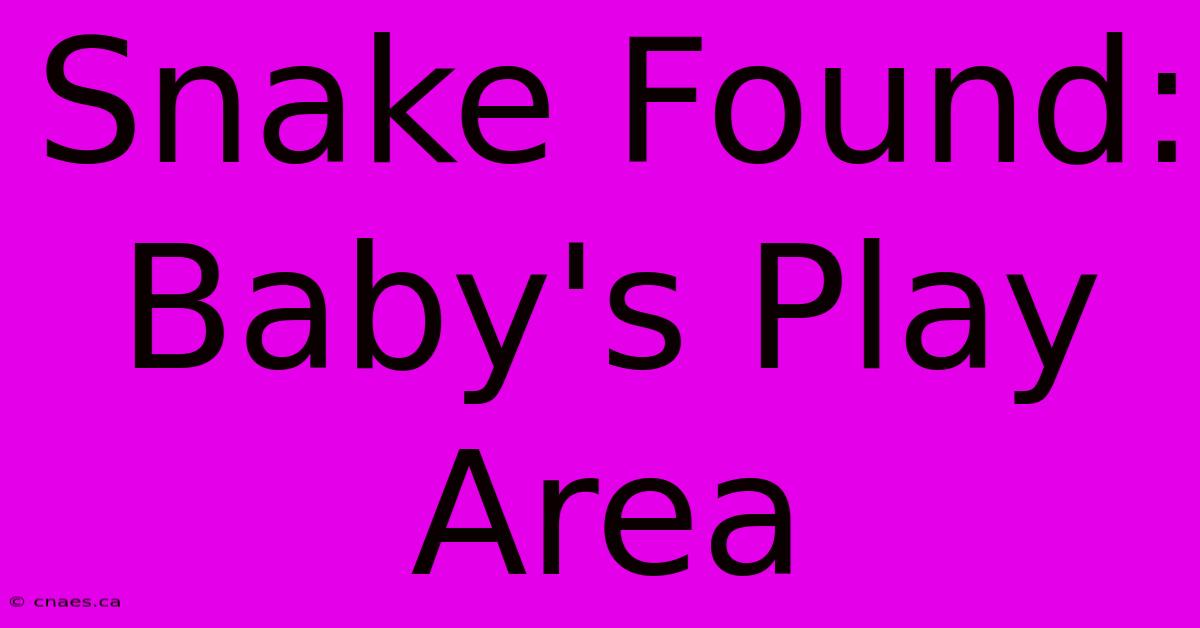 Snake Found: Baby's Play Area