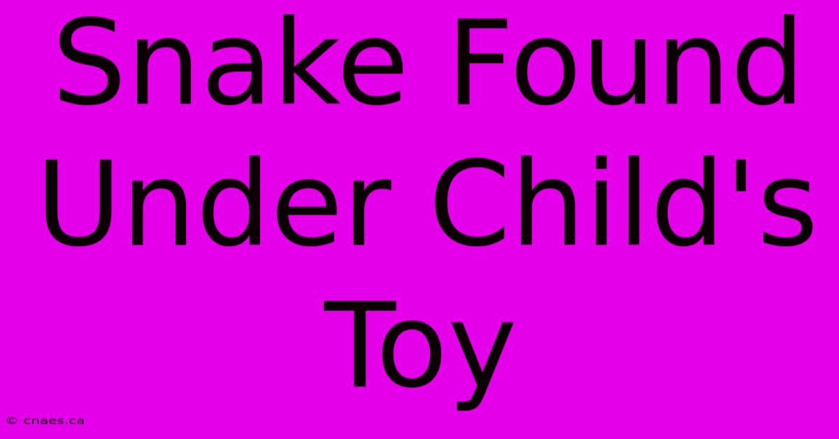 Snake Found Under Child's Toy