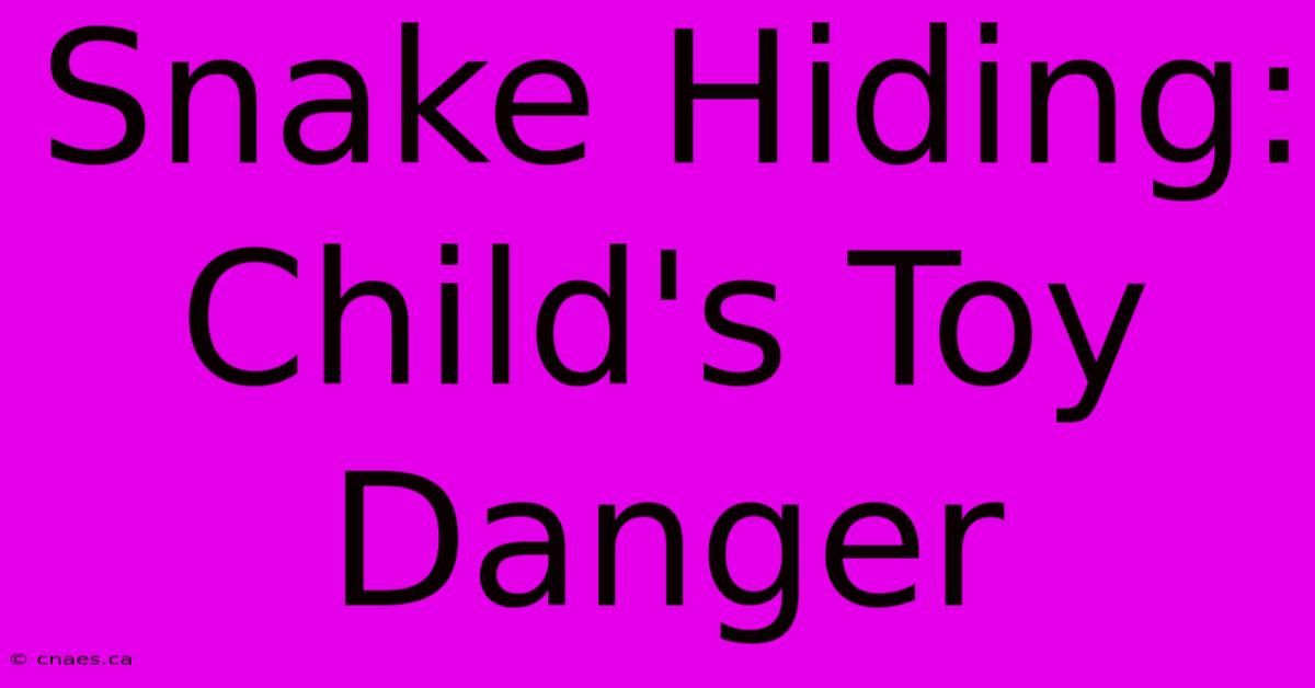 Snake Hiding: Child's Toy Danger