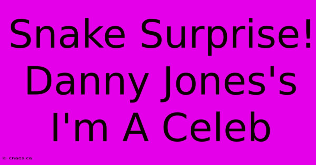 Snake Surprise! Danny Jones's I'm A Celeb