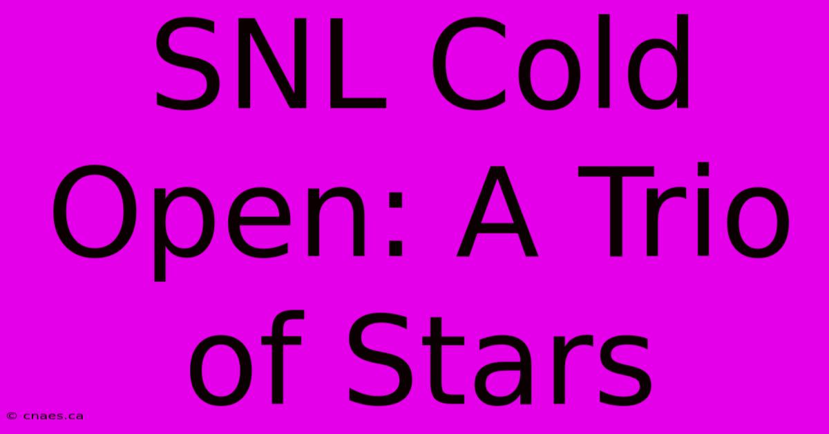 SNL Cold Open: A Trio Of Stars