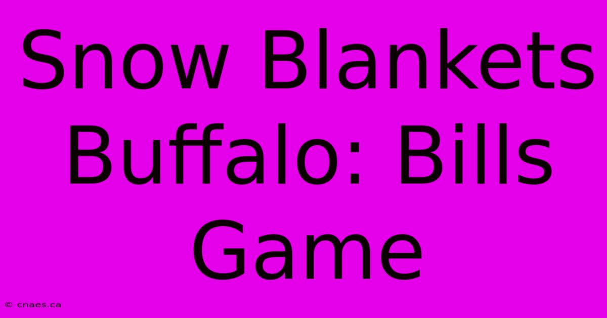 Snow Blankets Buffalo: Bills Game