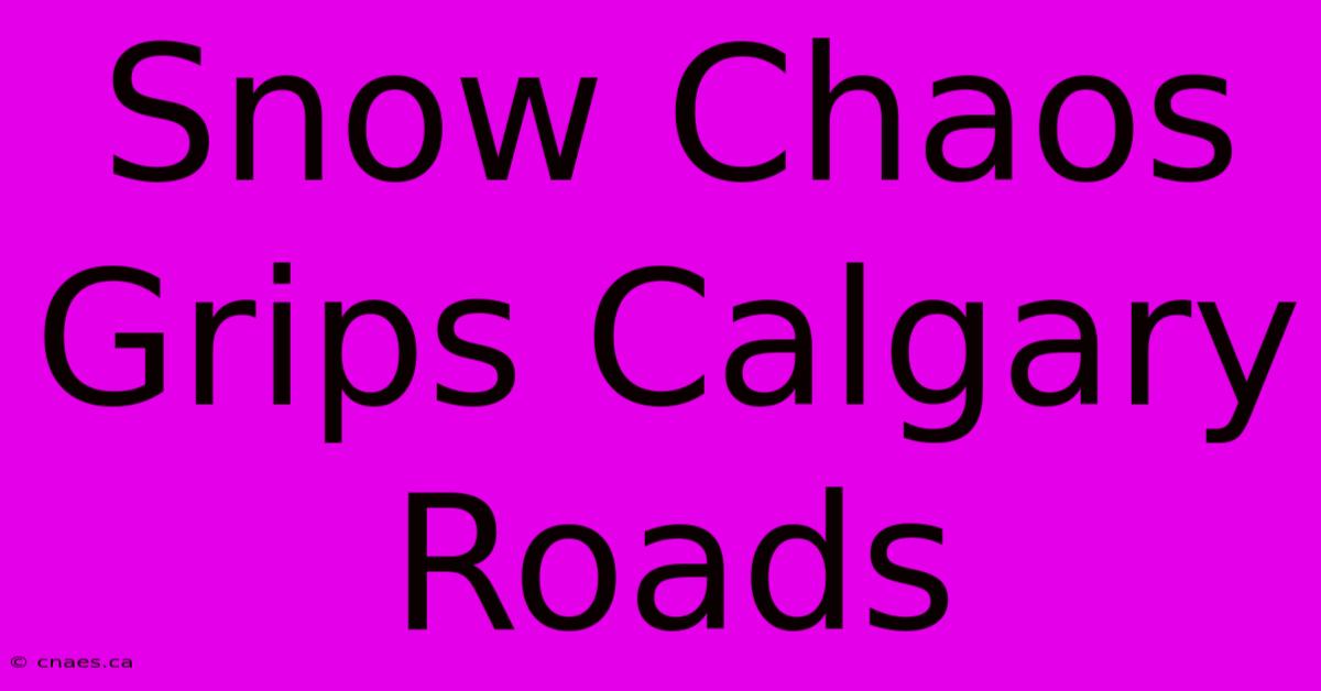 Snow Chaos Grips Calgary Roads