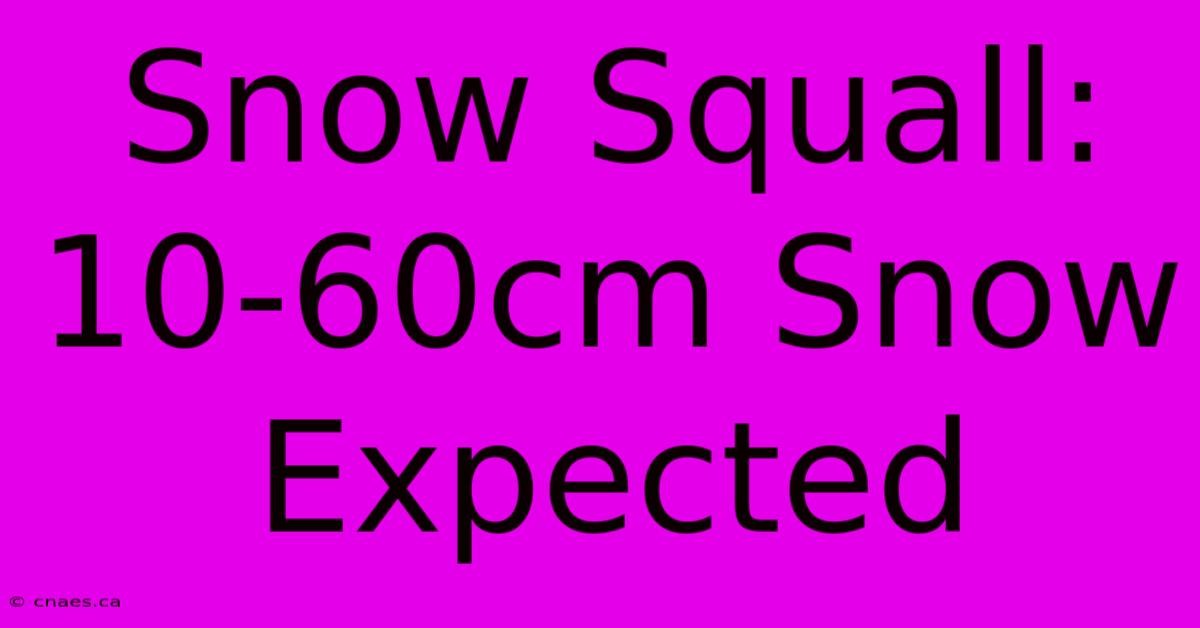 Snow Squall: 10-60cm Snow Expected