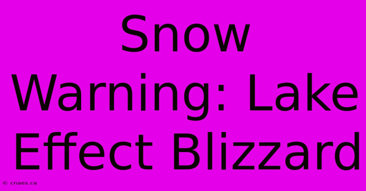 Snow Warning: Lake Effect Blizzard