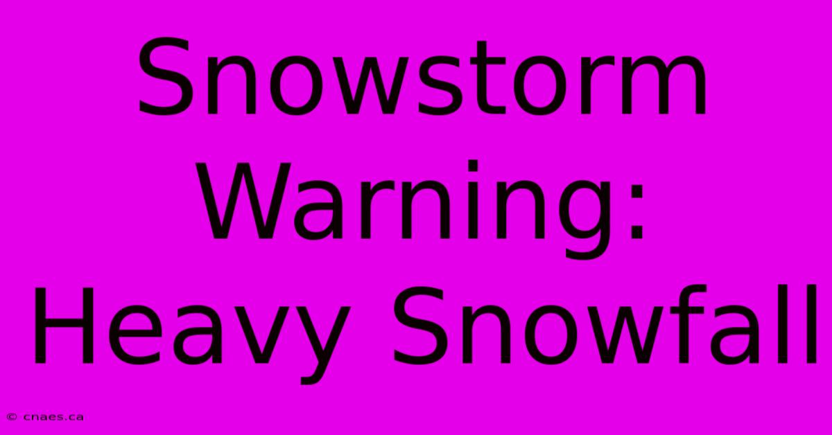 Snowstorm Warning: Heavy Snowfall