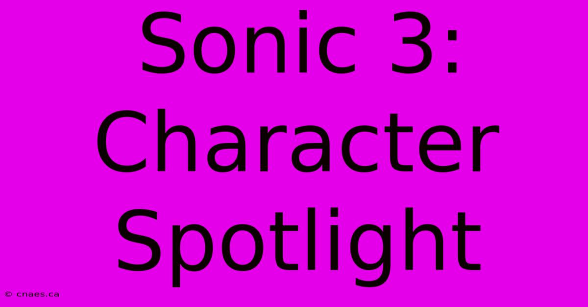 Sonic 3: Character Spotlight