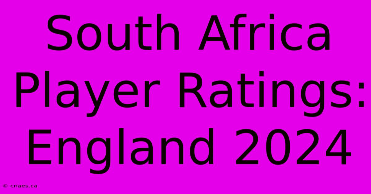 South Africa Player Ratings: England 2024