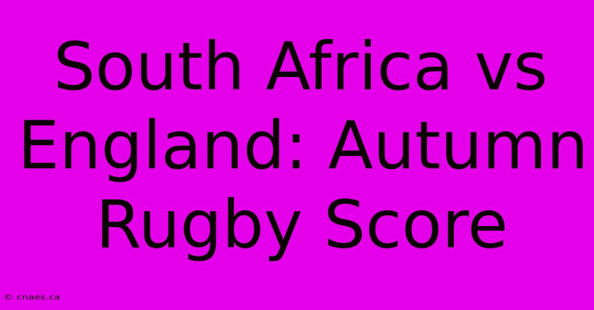 South Africa Vs England: Autumn Rugby Score