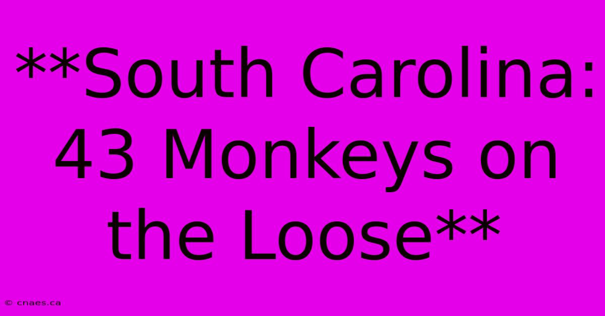 **South Carolina: 43 Monkeys On The Loose** 