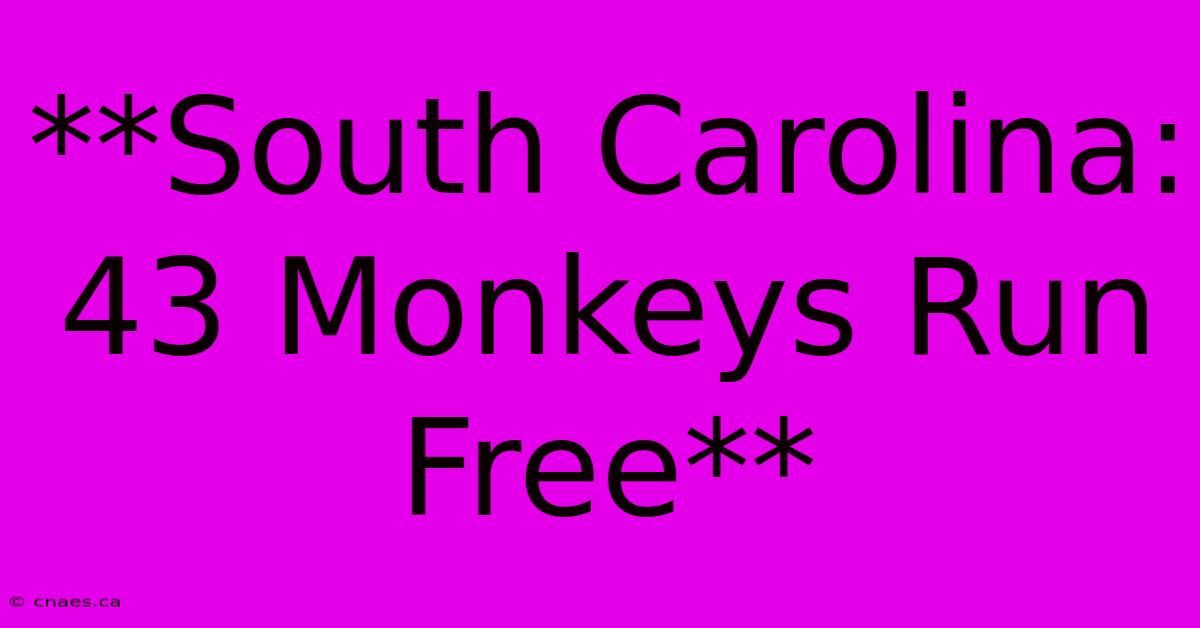 **South Carolina: 43 Monkeys Run Free**