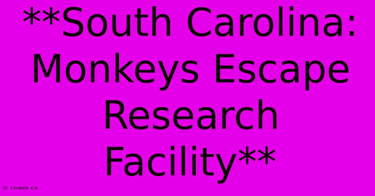 **South Carolina: Monkeys Escape Research Facility**