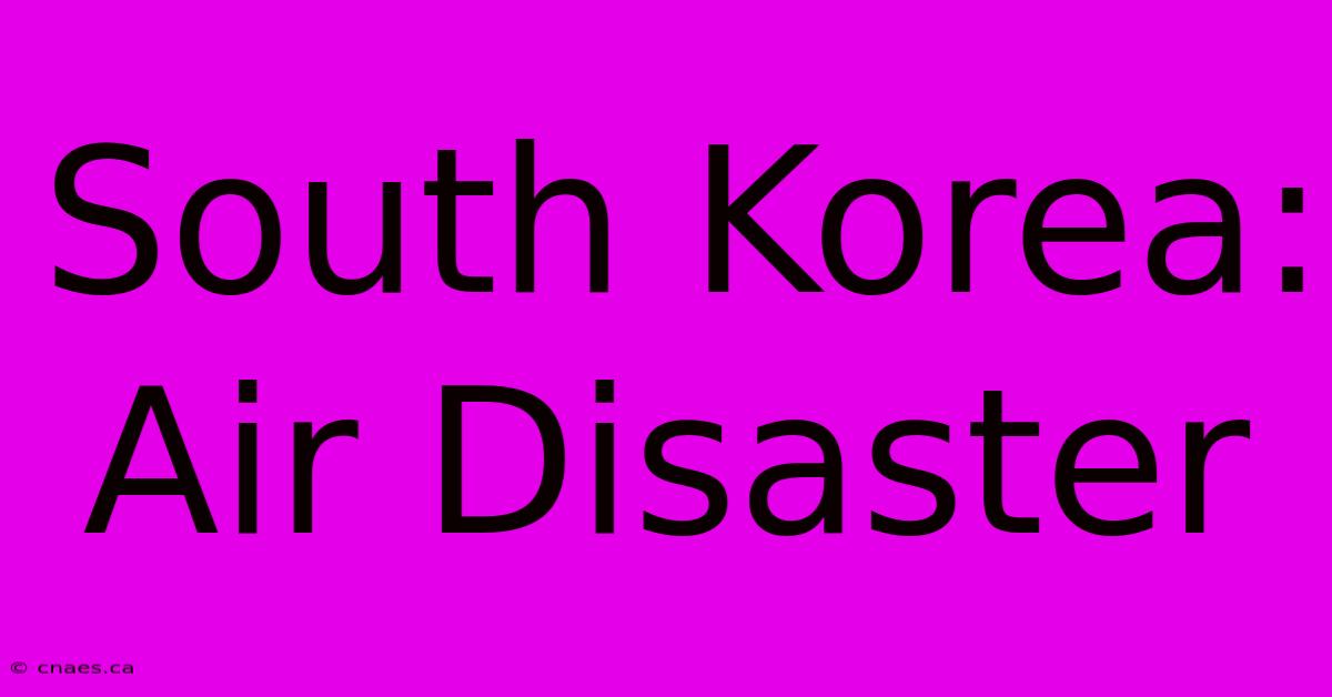 South Korea: Air Disaster