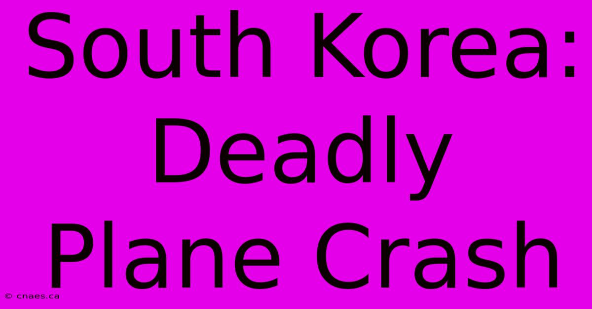 South Korea: Deadly Plane Crash