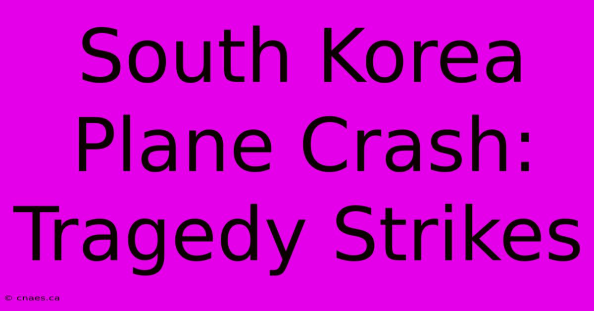 South Korea Plane Crash:  Tragedy Strikes