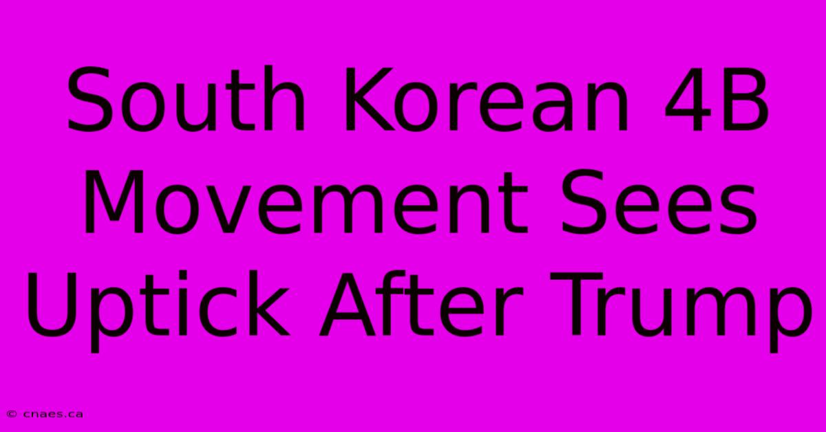 South Korean 4B Movement Sees Uptick After Trump