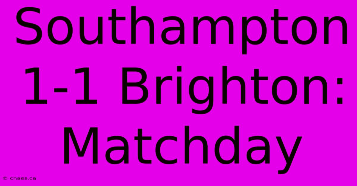 Southampton 1-1 Brighton: Matchday