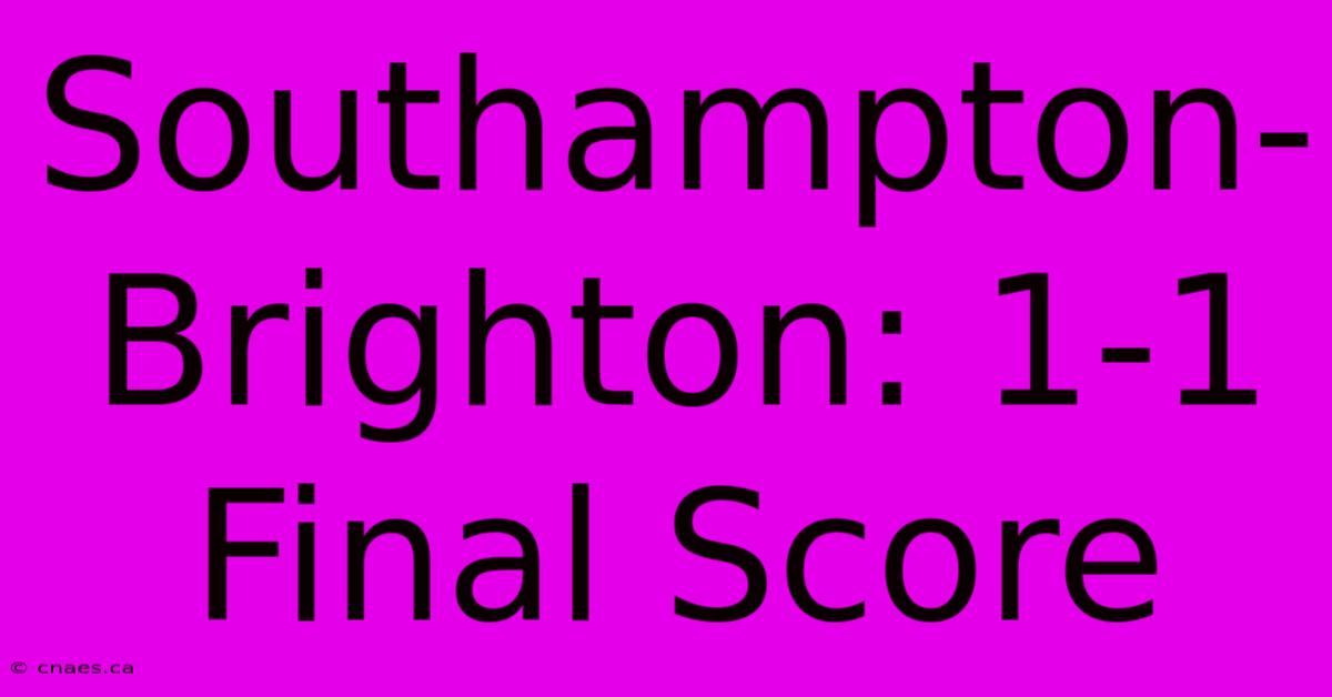 Southampton-Brighton: 1-1 Final Score