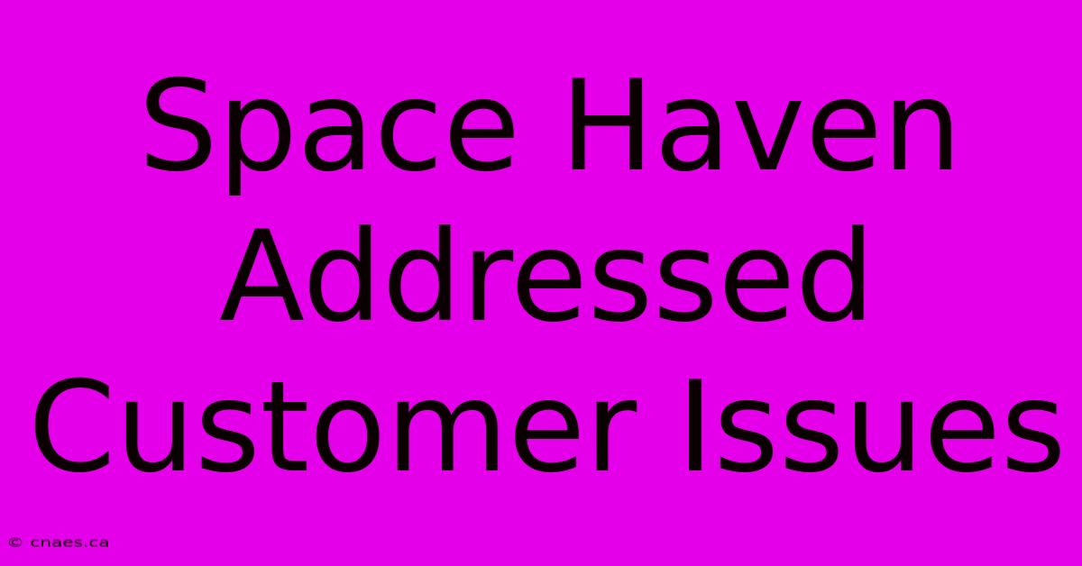 Space Haven Addressed Customer Issues