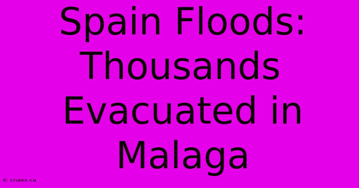 Spain Floods: Thousands Evacuated In Malaga