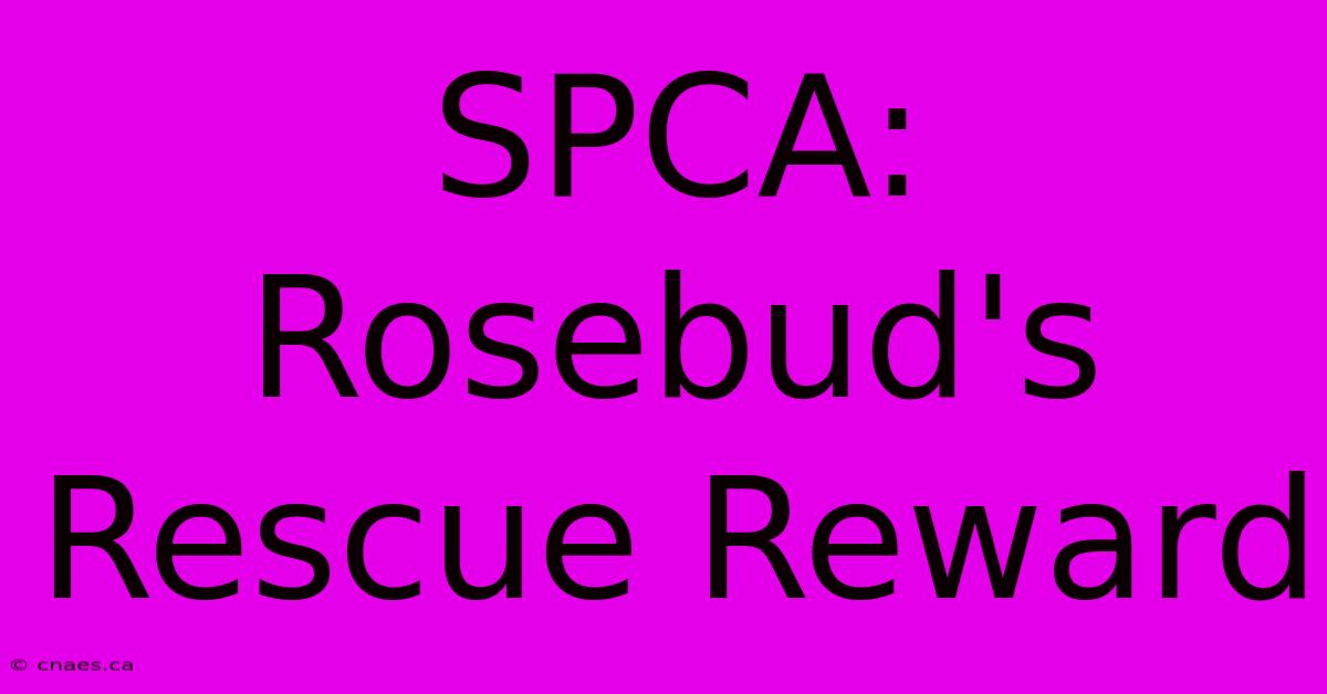 SPCA: Rosebud's Rescue Reward