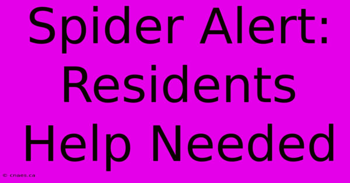 Spider Alert: Residents Help Needed