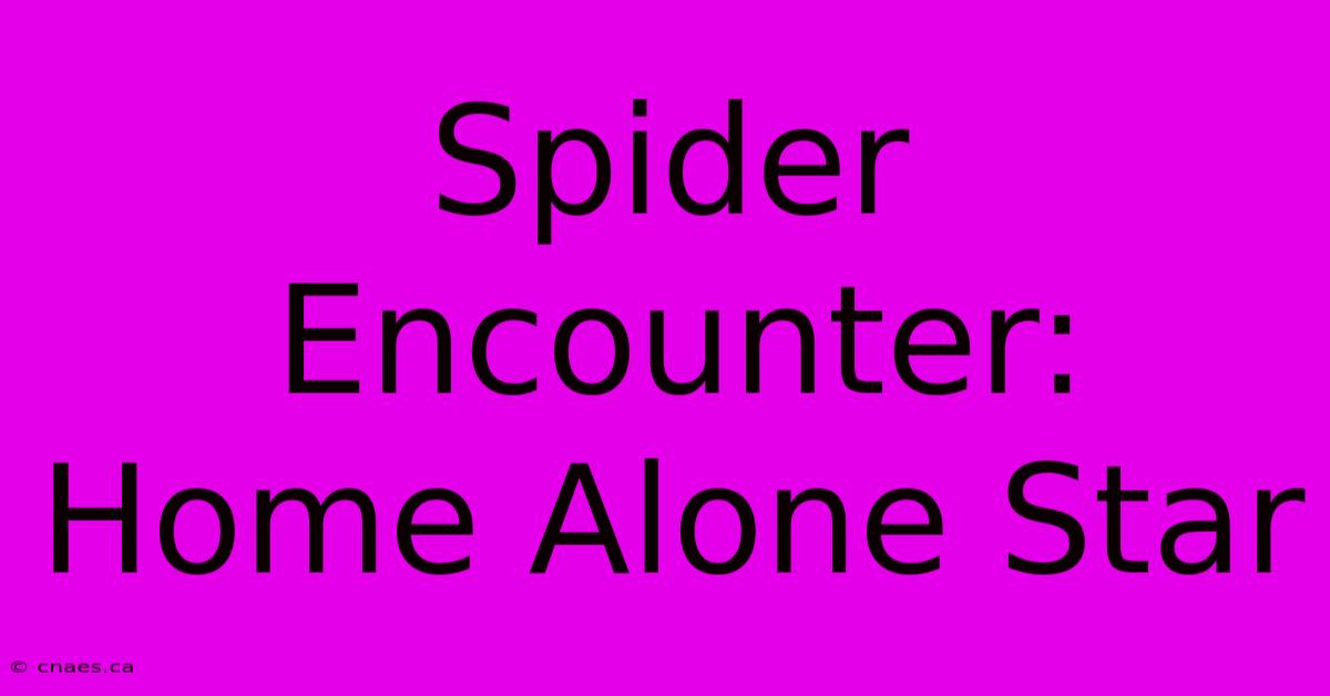 Spider Encounter: Home Alone Star