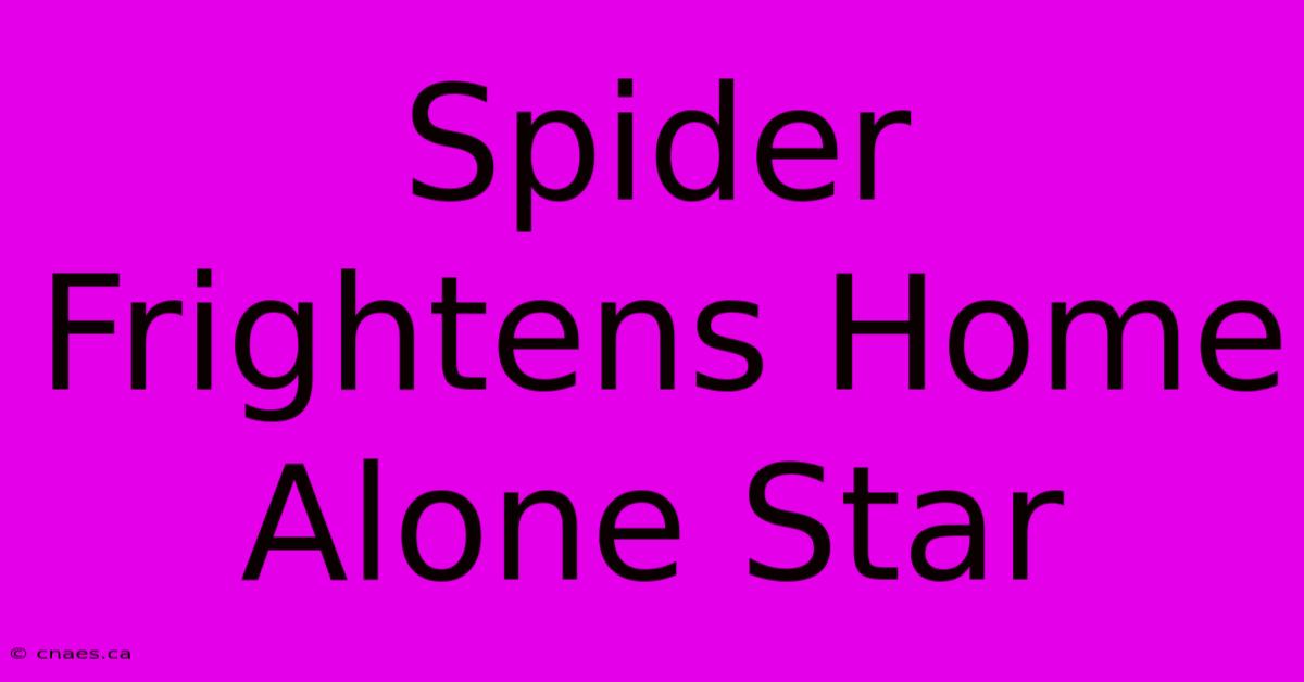 Spider Frightens Home Alone Star