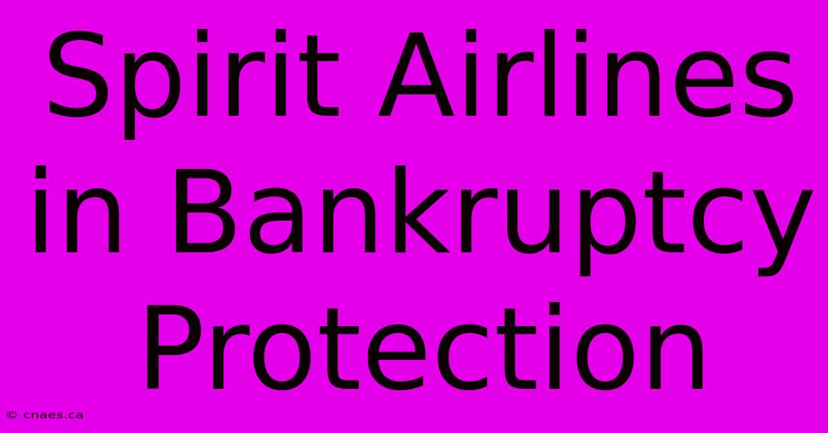 Spirit Airlines In Bankruptcy Protection