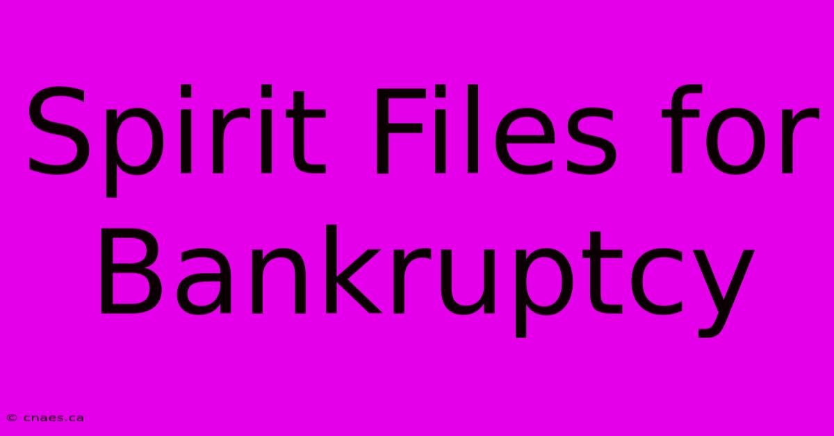 Spirit Files For Bankruptcy