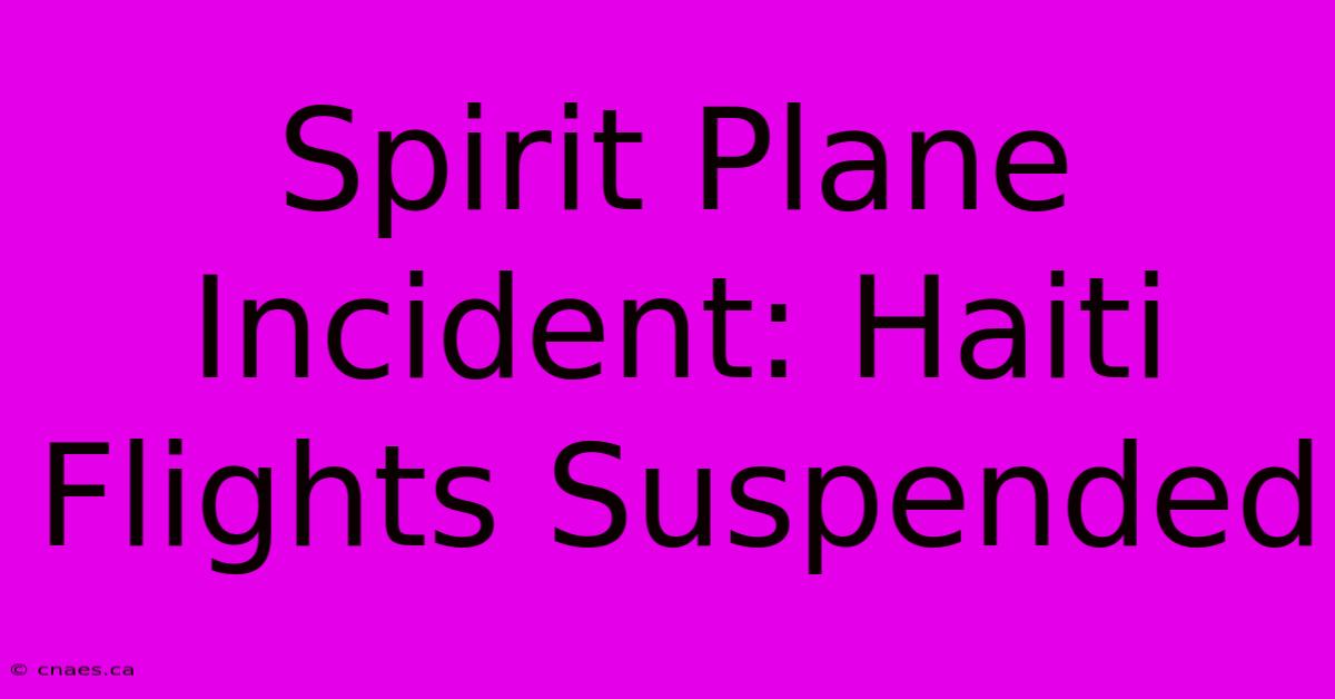 Spirit Plane Incident: Haiti Flights Suspended 