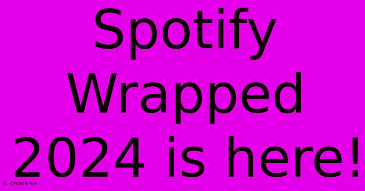 Spotify Wrapped 2024 Is Here!