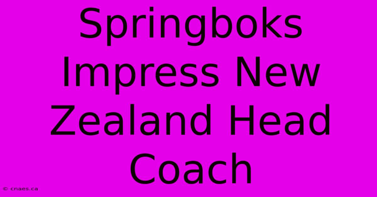 Springboks Impress New Zealand Head Coach