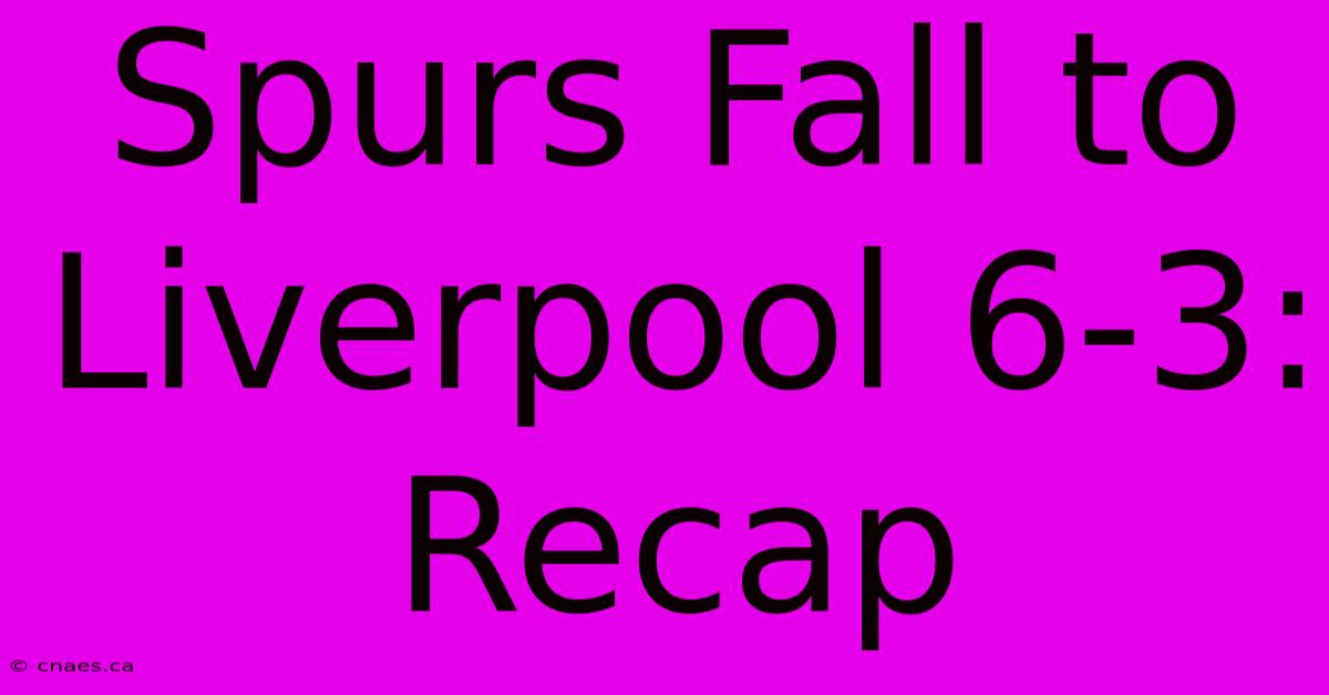 Spurs Fall To Liverpool 6-3: Recap