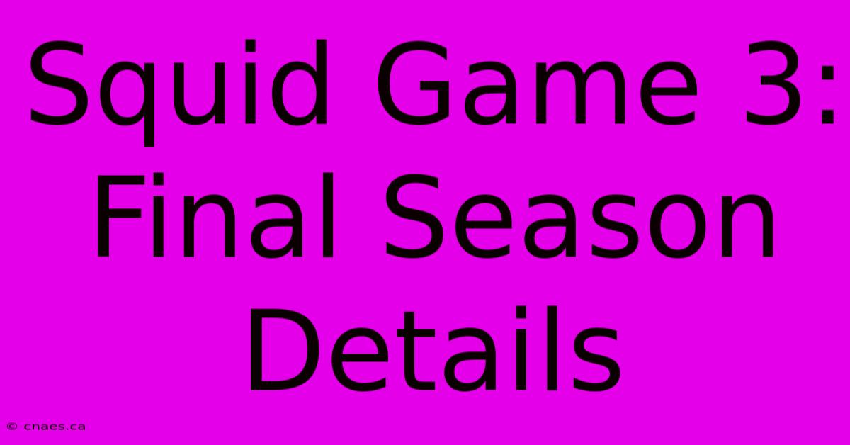 Squid Game 3: Final Season Details